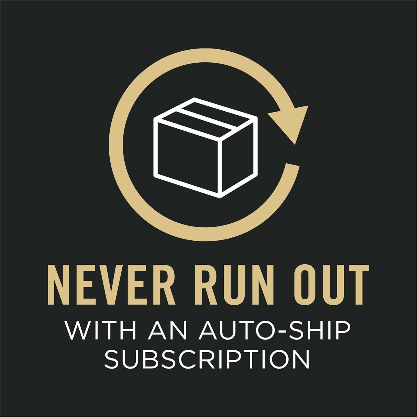 Complete Essentials Shredded Blend Chicken and Rice Dog Food Dry Formula with Probiotics for Dogs - 35 Lb. Bag