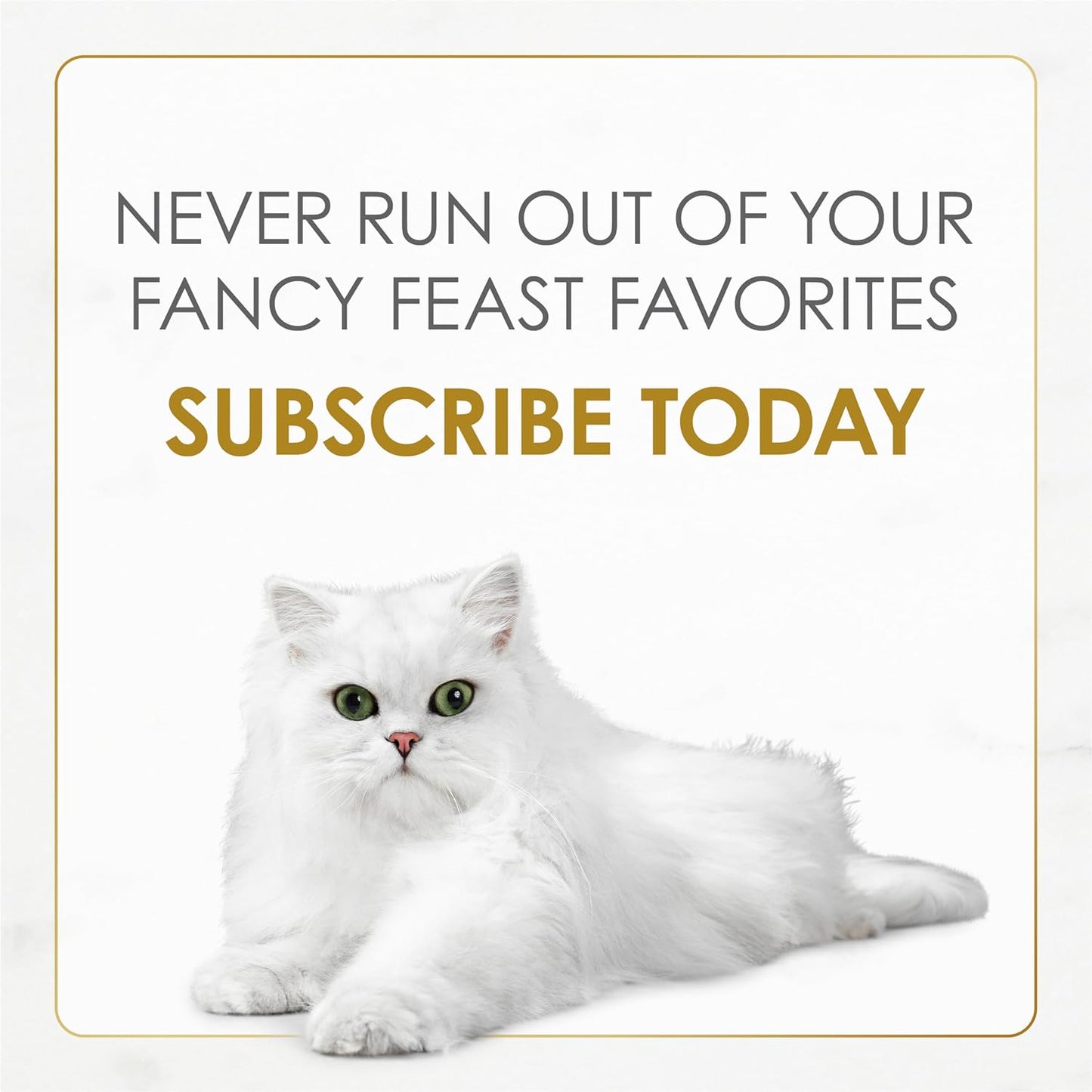 Purina Gourmet Wet Cat Food Variety Pack, Petites Gravy Collection, Break-Apart Tubs, 48 Servings - (Pack of 24) 2.8 Oz. Tubs