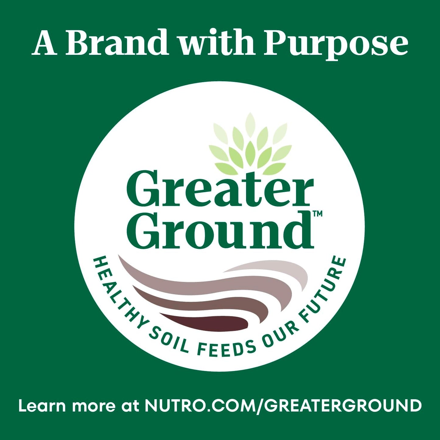 Wholesome Essentials Senior Dry Cat Food, Chicken & Brown Rice Recipe, 5 Lb. Bag