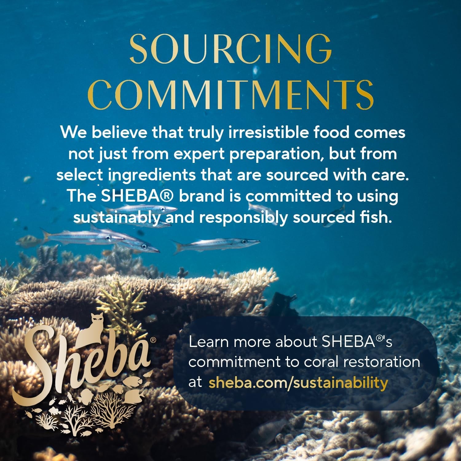 Perfect Portions Wet Cat Food Pate with Sustainable Salmon, Signature Seafood Entree, and Tender Whitefish and Tuna Entree Variety Pack, 2.6 Oz. Twin Pack Trays (24 Count, 48 Servings)