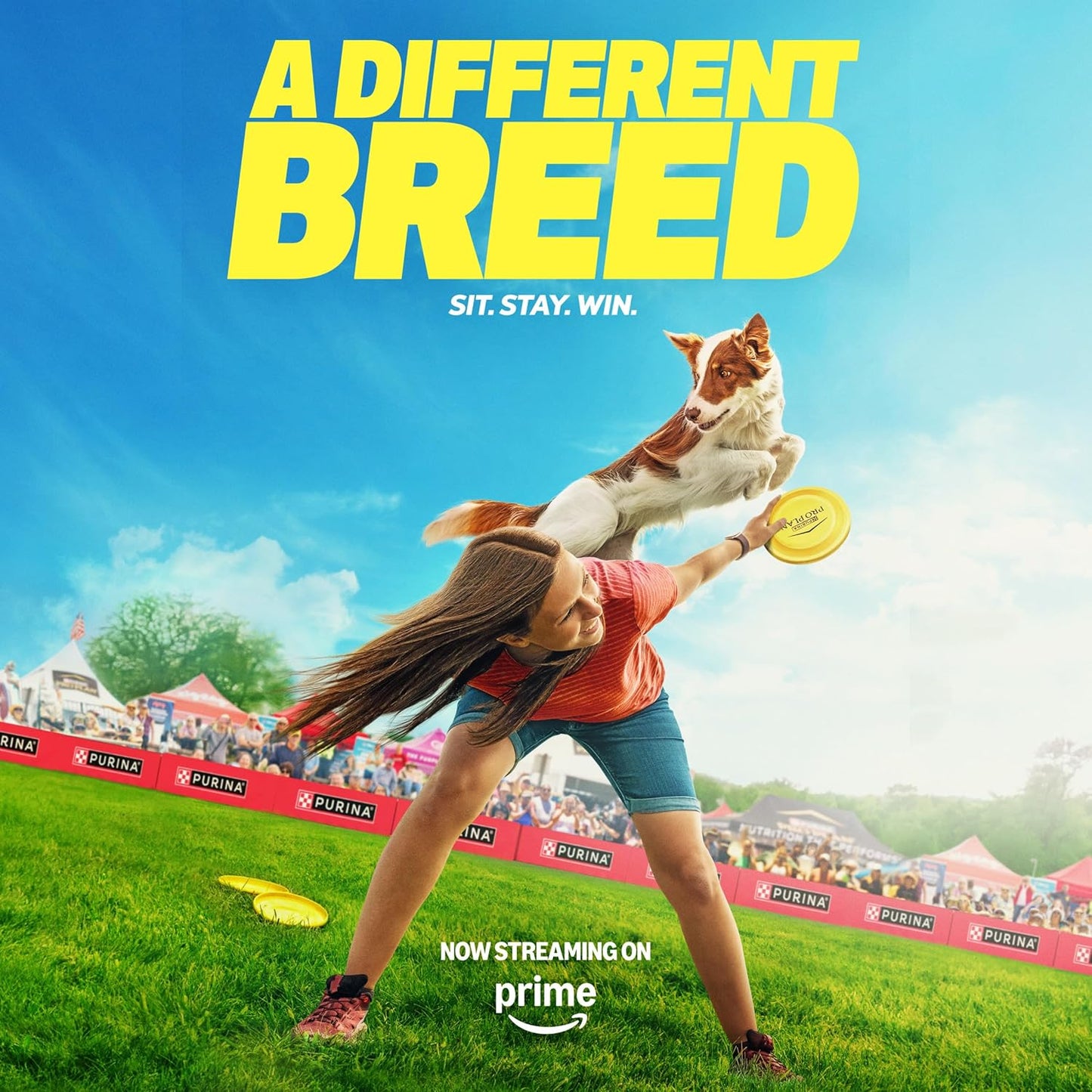 Complete Essentials Shredded Blend Chicken and Rice Dog Food Dry Formula with Probiotics for Dogs - 35 Lb. Bag