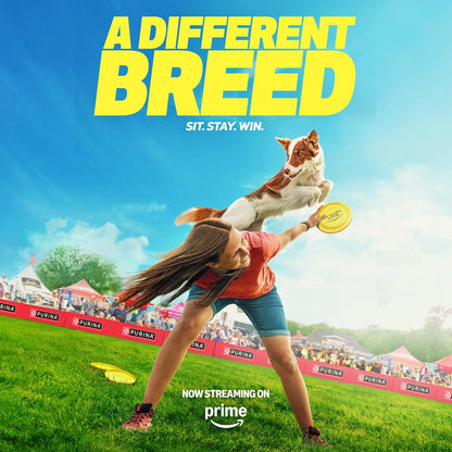 Complete Essentials Shredded Blend Chicken and Rice Dog Food Dry Formula with Probiotics for Dogs - 35 Lb. Bag