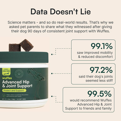 Advanced Dog Hip and Joint Supplement with Glucosamine, Chondroitin, Omega 3, MSM, and Green Lipped Mussel, 60 Pork Flavored Chews for Small and Medium Dog Breeds