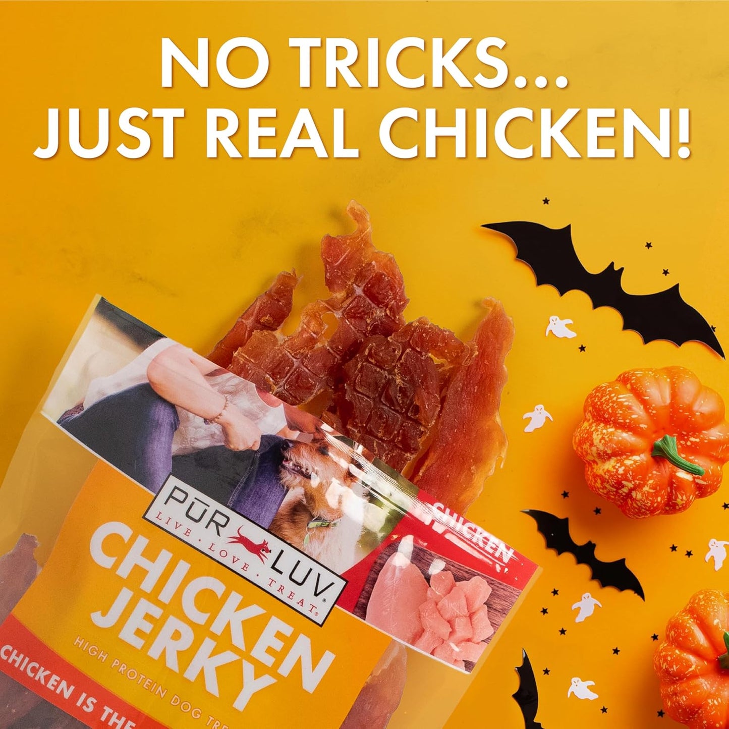 Chicken Jerky Dog Treats, Made with 100% Real Chicken Breast, 16 Ounces, Healthy, Easily Digestible, Long-Lasting, High Protein, Satisfies Dog'S Urge to Chew