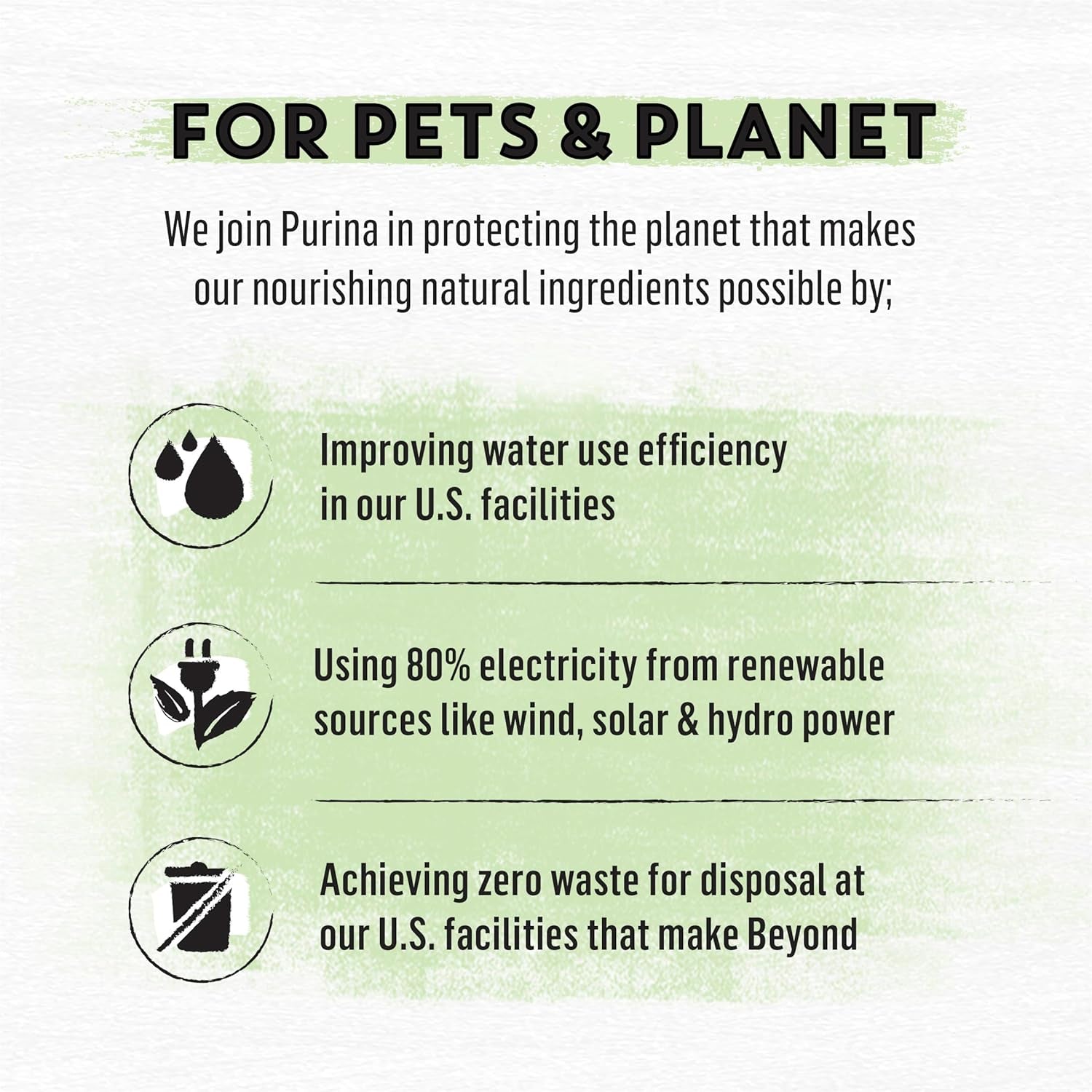 Grain Free White Meat Chicken and Egg Recipe Natural Cat Food High Protein Cat Food Dry Formula - 5 Lb. Bag