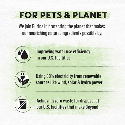 Grain Free White Meat Chicken and Egg Recipe Natural Cat Food High Protein Cat Food Dry Formula - 5 Lb. Bag