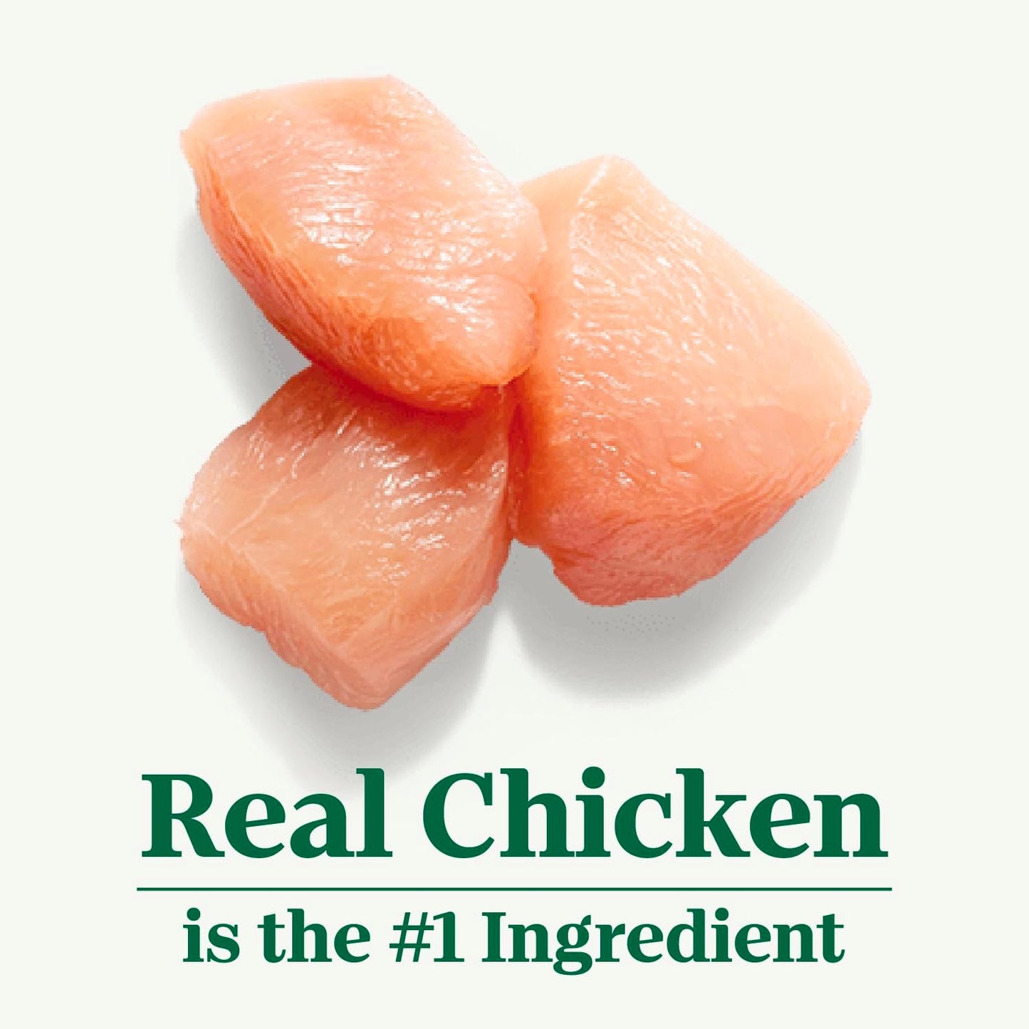 Wholesome Essentials Senior Dry Cat Food, Chicken & Brown Rice Recipe, 5 Lb. Bag