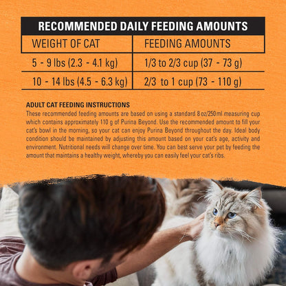 Grain Free White Meat Chicken and Egg Recipe Natural Cat Food High Protein Cat Food Dry Formula - 5 Lb. Bag