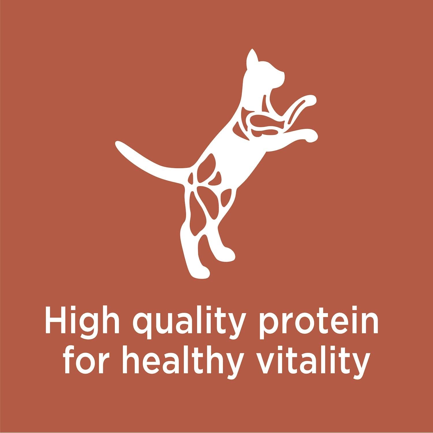 Proactive Health High Protein Adult Dry Cat Food with Chicken & Salmon Cat Kibble, 6 Lb. Bag