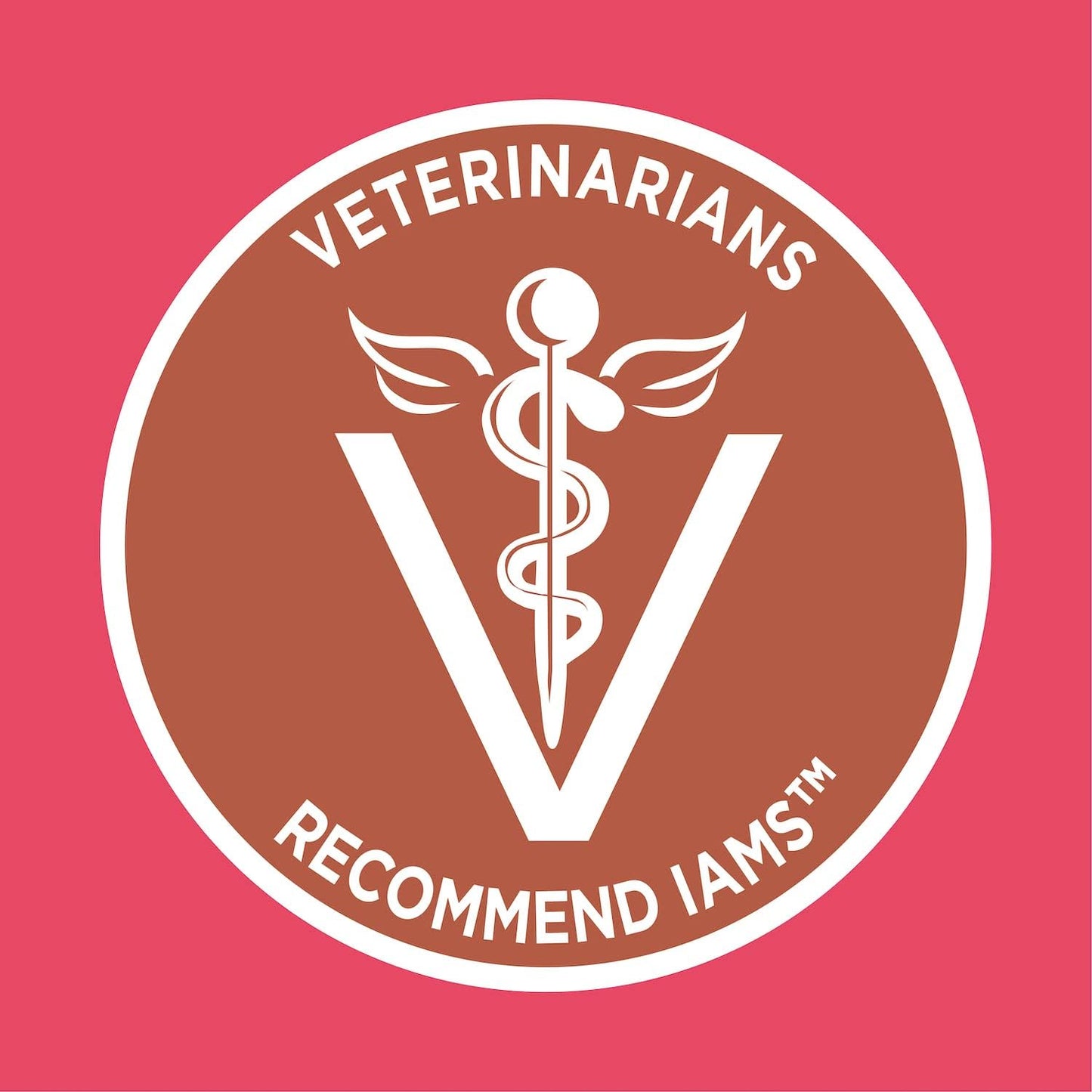 Proactive Health High Protein Adult Dry Cat Food with Chicken & Salmon Cat Kibble, 6 Lb. Bag