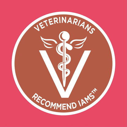 Proactive Health High Protein Adult Dry Cat Food with Chicken & Salmon Cat Kibble, 6 Lb. Bag