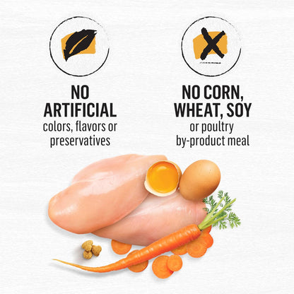 Grain Free White Meat Chicken and Egg Recipe Natural Cat Food High Protein Cat Food Dry Formula - 5 Lb. Bag