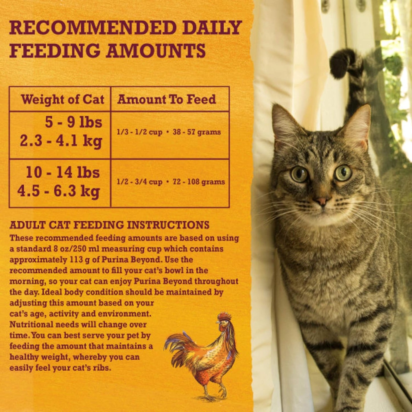Grain Free White Meat Chicken and Egg Recipe Natural Cat Food High Protein Cat Food Dry Formula - 5 Lb. Bag