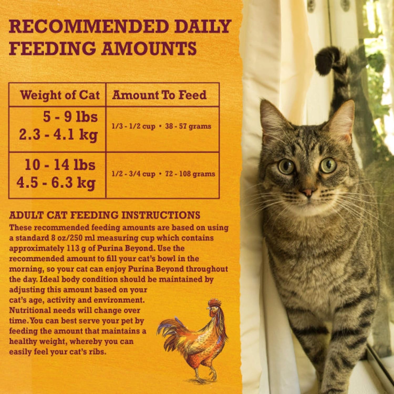 Grain Free White Meat Chicken and Egg Recipe Natural Cat Food High Protein Cat Food Dry Formula - 5 Lb. Bag