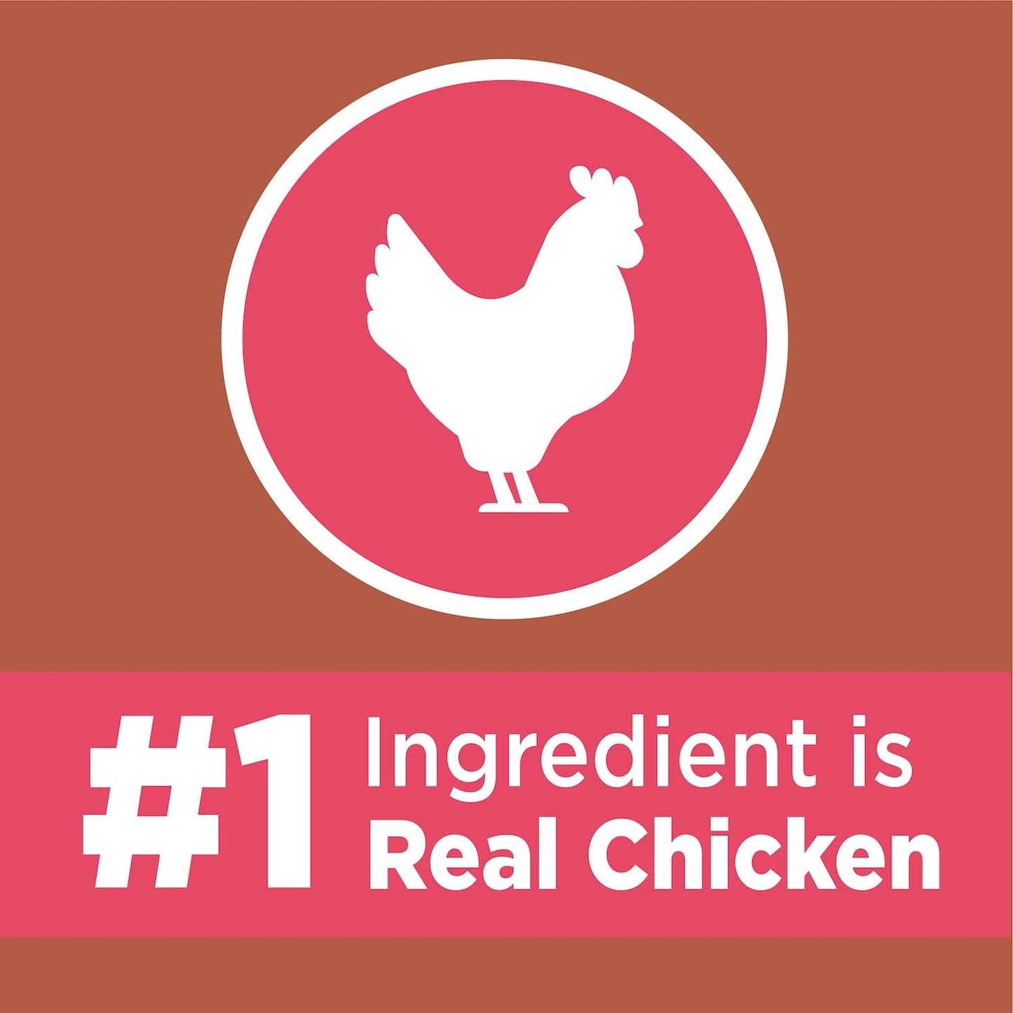 Proactive Health High Protein Adult Dry Cat Food with Chicken & Salmon Cat Kibble, 6 Lb. Bag