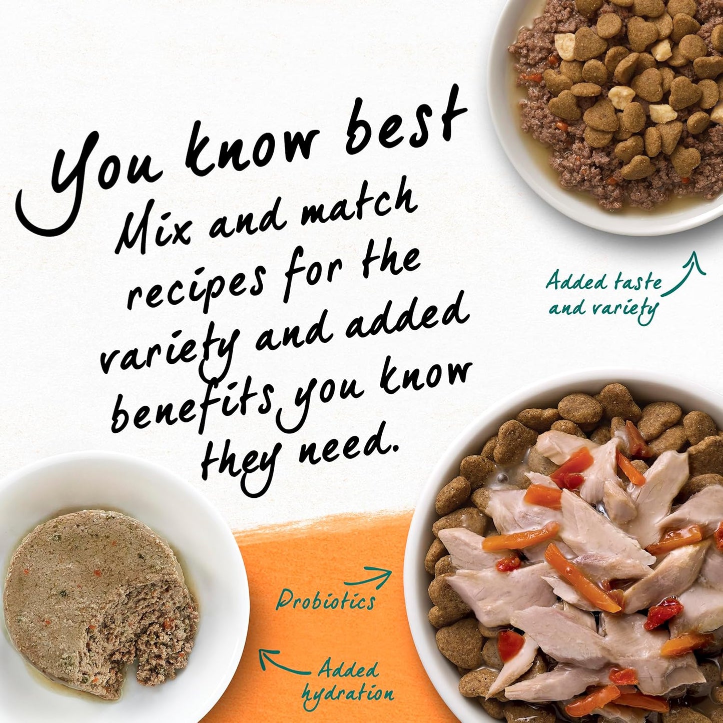 Grain Free White Meat Chicken and Egg Recipe Natural Cat Food High Protein Cat Food Dry Formula - 5 Lb. Bag