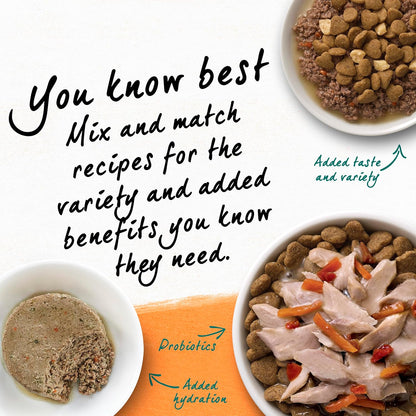 Grain Free White Meat Chicken and Egg Recipe Natural Cat Food High Protein Cat Food Dry Formula - 5 Lb. Bag